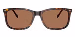 Dark Havana / Brown / Dark Brown