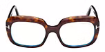 DARK HAVANA / DARK HAVANA