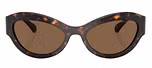 Dark Tortoise / Brown Solid