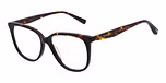GLOSS TORTOISE