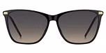 BLACK GOLD (GREY BROWN DOUBLESHADE / DOUBLE GRADIENT)