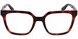 TORTOISE / BROWN