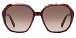 BURGUNDY HAVANA / BROWN SHADED