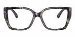 Amazon Green Tortoise