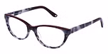 RED / GREY TORT