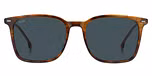 BROWN HORN RUTHENIUM (BLUE)