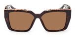 DARK HAVANA / DARK HAVANA / BROWN