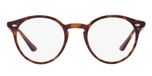 LIGHT HAVANA / havana / photochromic clear to grey/green quar