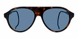 Tortoise / Blue Polarlynx / Polarized