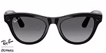 Black / Graphite / Polarized