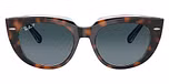 Dark Havana On Transparent Multicolour / Blue Gradient Polarized