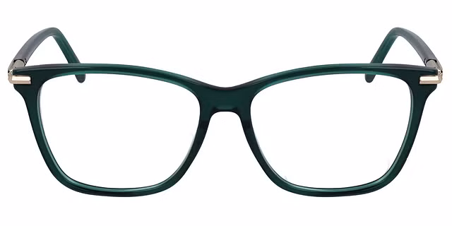 Ferragamo - SF3013