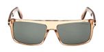 shiny light brown / green
