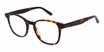 GLOSS TORT