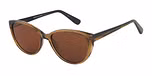 Brown / Brown Lens