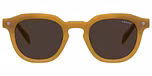 YELLOW (BROWN) / ECO ACETATE