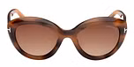 COLOURED HAVANA / COLOURED HAVANA / GRADIENT BROWN