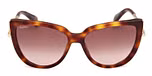 DARK HAVANA / DARK HAVANA / GRADIENT BROWN