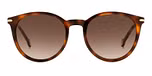 BROWN HAVANA (BROWN SHADED)