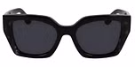 BLACK / BLACK TORTOISE