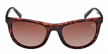 DARK HAVANA / DARK HAVANA / BROWN POLARIZED