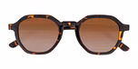 Dark Tortoise / Brown Lenses