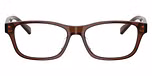 Shiny Transparent Brown