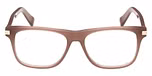 Shiny Light Brown / Shiny Light Brown
