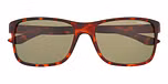 Matte Tort with Polarized Solid Green Lenses