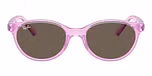 Transparent Violet / Violet / Brown