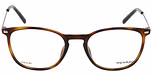 BLUISH BROWN