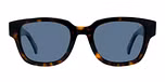 Tortoise / Blue Polar / Polarized