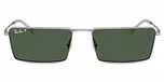 Silver / Dark Green polarized