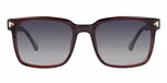 Blue Graduated / Polarised lenses