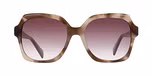 BEIGE TORTOISE