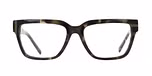 OLIVE TORTOISE