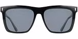 BLACK / Polarised Lens