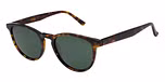 TORTOISESHELL
