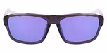 DARK RAISIN / PURPLE MIRROR