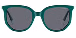 GREEN / GREY POLARIZED