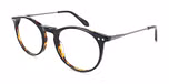 Shiny Black on Tortoise