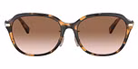 Dark Tortoise / Brown Gradient