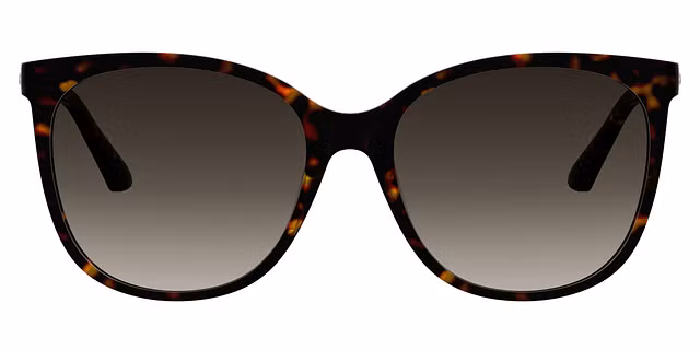 Pierre Cardin - P.C. 8526/S