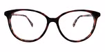Brown+Pink tortoise