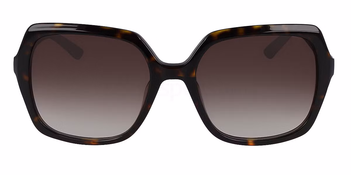 CK20541S