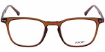 BLUISH BROWN
