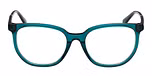 Shiny Dark Green / Shiny Dark Green