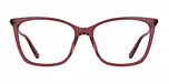 TRANSPARENT BURGUNDY