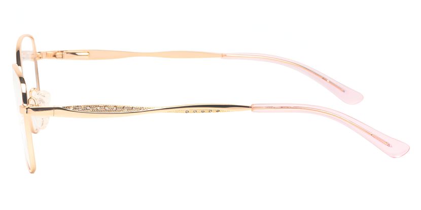 Ferucci Titanium 758