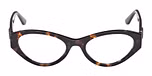 Dark Havana / Shiny Dark Brown